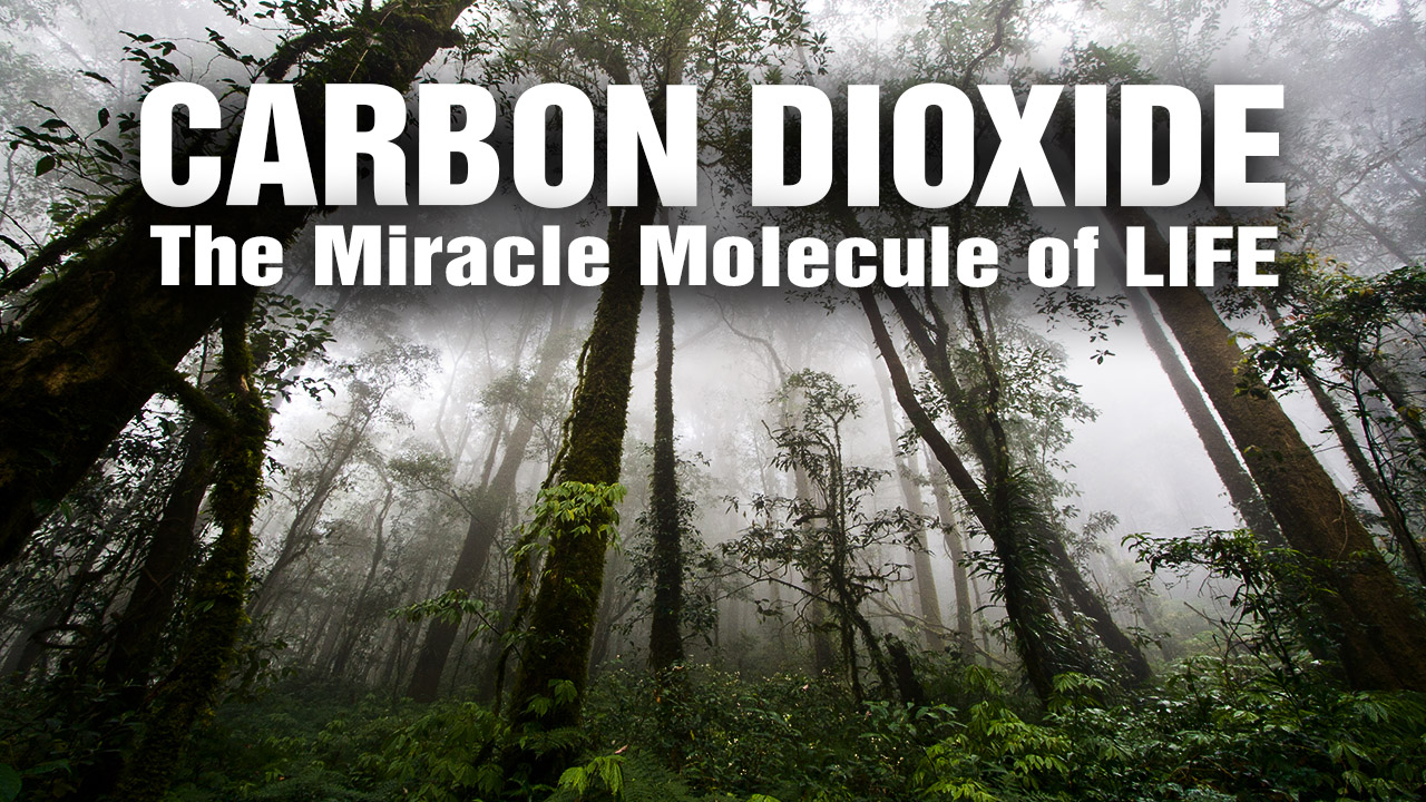 Carbon Dioxide revealed as the “Miracle Molecule of Life” for re-greening the planet