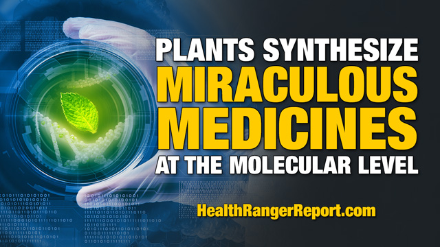 Health Ranger: Plants synthesize miraculous medicines at the molecular level