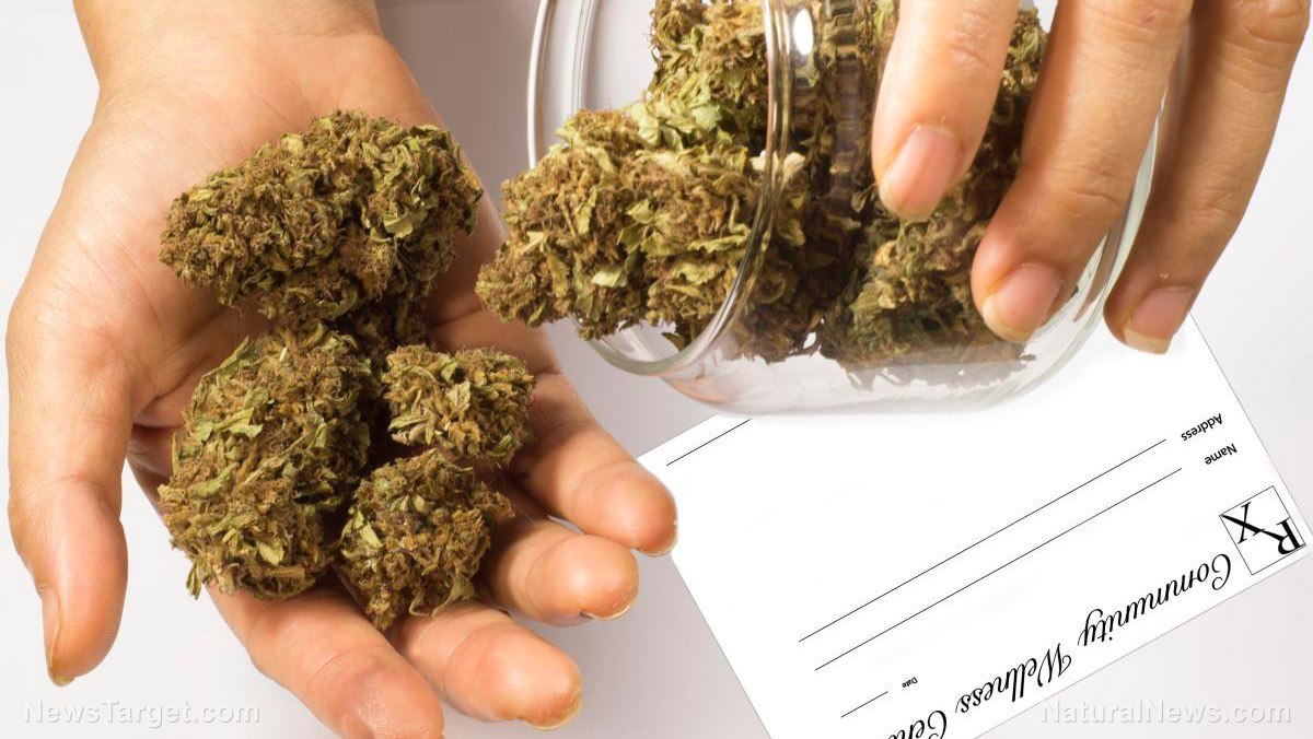 Native American teen targeted by the federal government over just one gram of weed – could face a year in prison