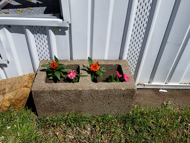 15 Smart ideas for using cinder blocks for your homestead