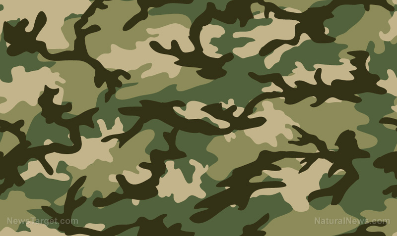 Camouflaging yourself and your shelter: Considerations for concealment