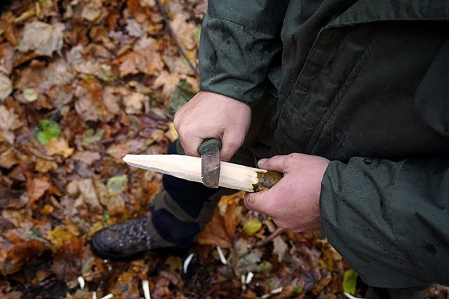 How to make a primitive fishing spear: Steps for building a versatile survival tool