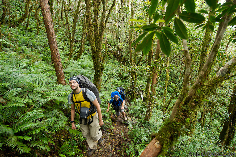 Don’t forget these 5 essentials when packing for a rainforest trip