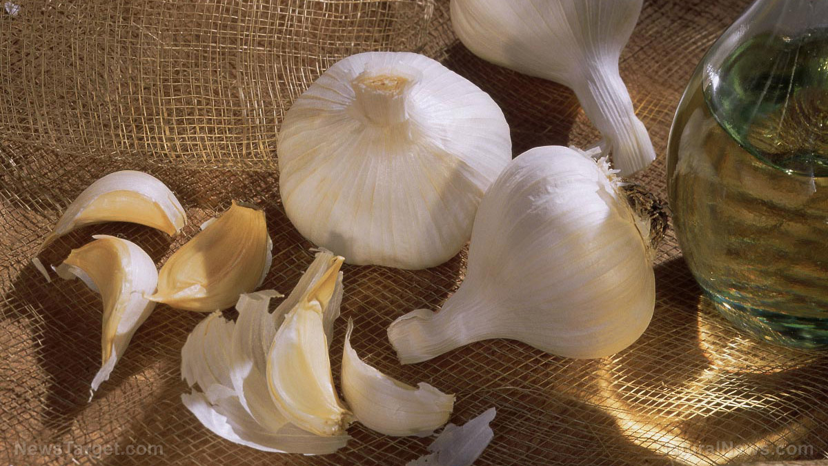 Food cures: A guide to making your own garlic tincture