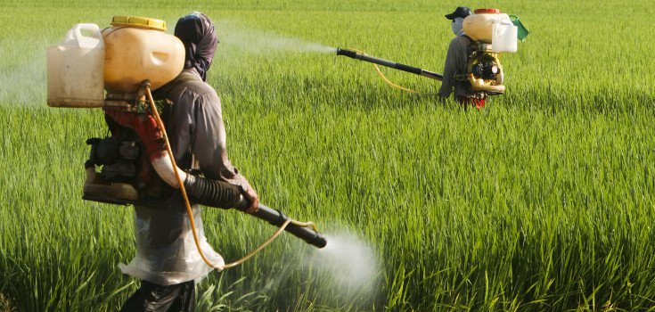 Monsanto / Bayer now facing over 8,000 lawsuits alleging its glyphosate (Roundup) herbicide causes cancer