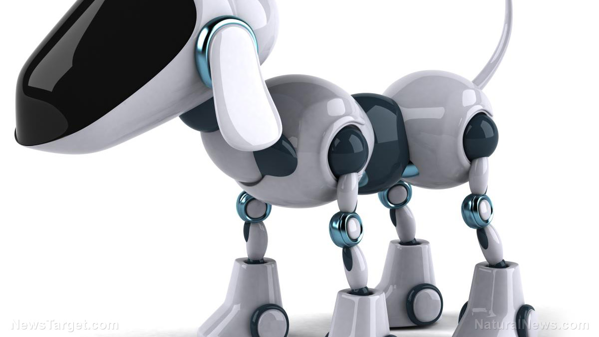 Robotic pets will soon have a new market – assisting seniors