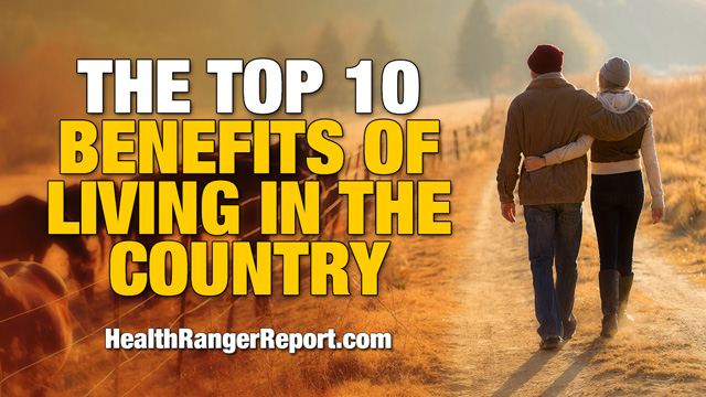 The top 10 benefits of living in the country