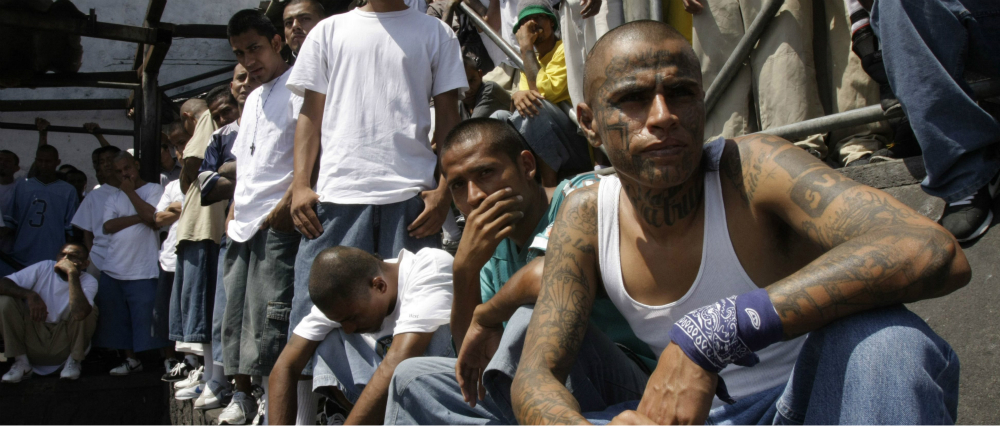 Trump administration triples down on MS-13 “animals” descriptor with email blast sure to trigger the Pravda media