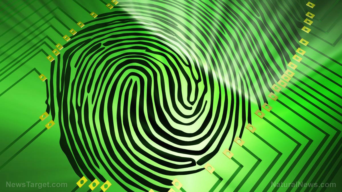 SCARY: Researchers develop a “universal fingerprint” that can fool most sensors