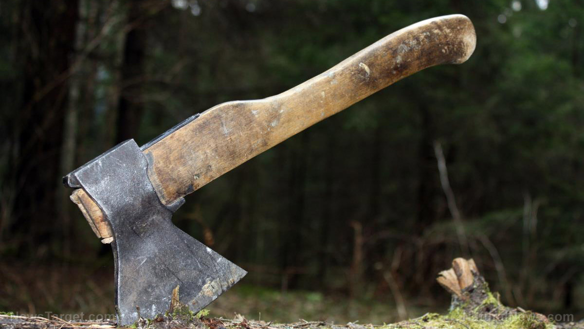 How to choose the right axe for any survival situation