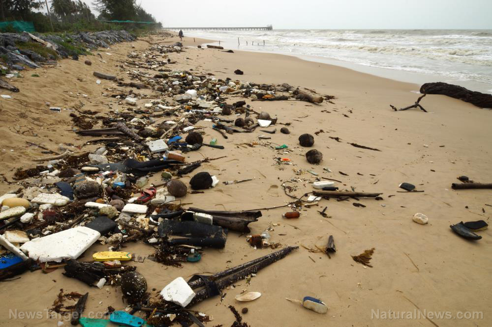 California not only has needles, trash and feces across its cities; the same filth is now appearing across SoCal beaches