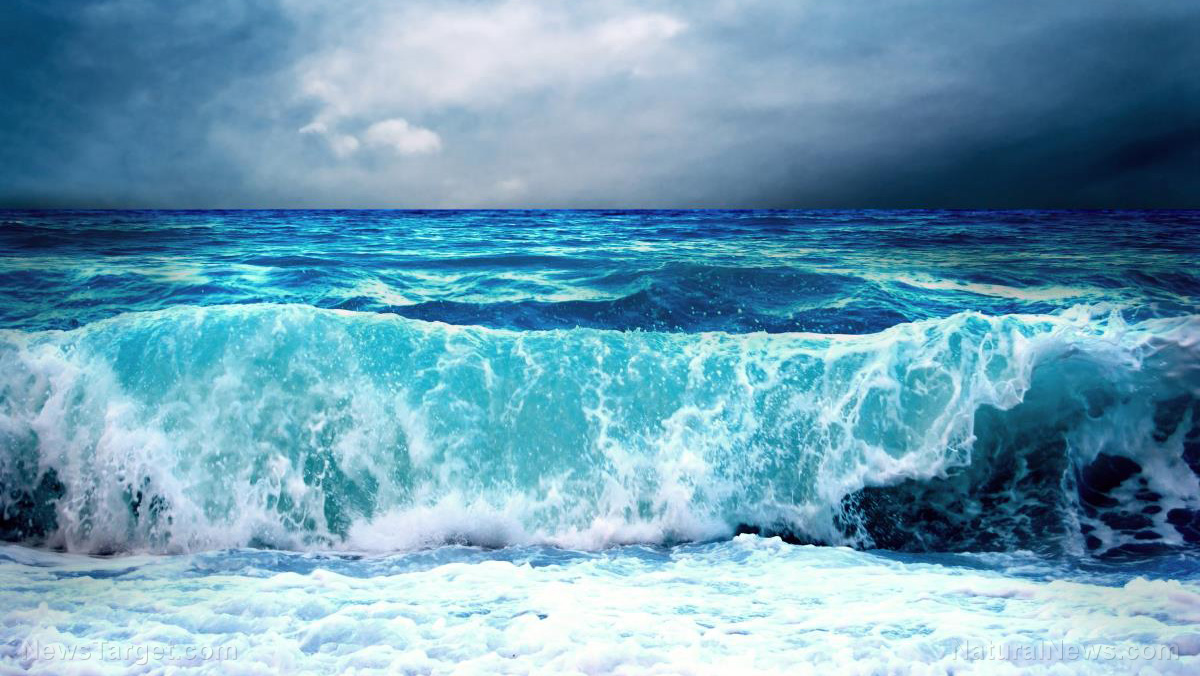 Sea level data ALTERED by scientists to create false impression of rising oceans