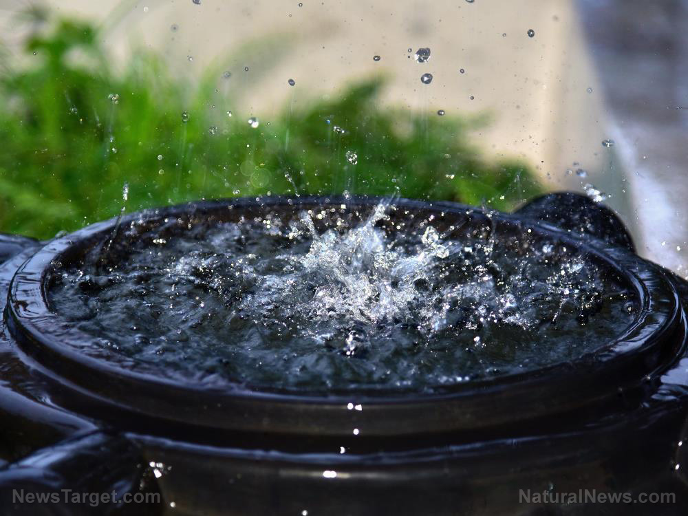Prepping advice: Invest in a 500-gallon water tank