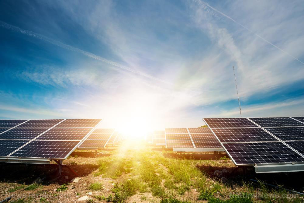 New stable photoelectrochemical cell opens the door to more efficient solar cells