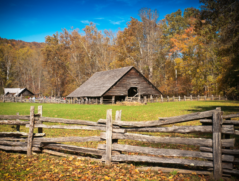 5 Important homesteading lessons to learn from American pioneers
