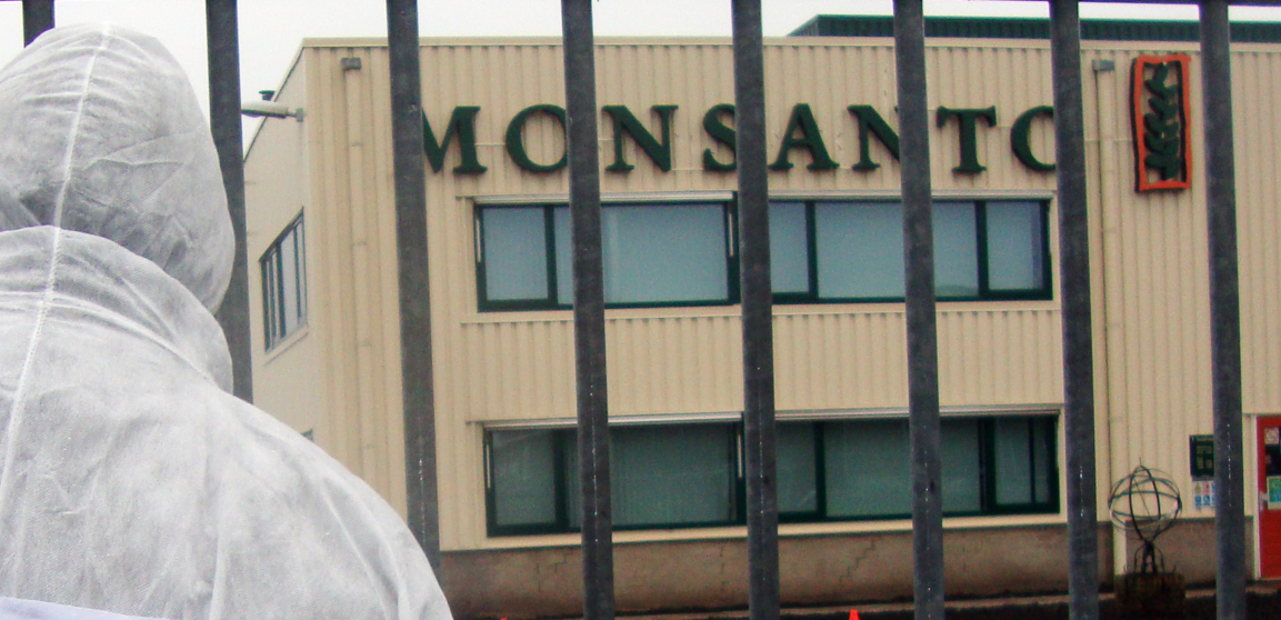 Hundreds of lawsuits against Monsanto are moving forward