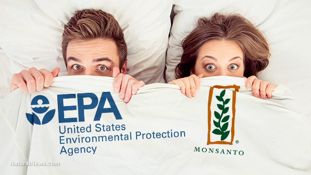 Shocking study reveals EPA ignored scientific proof that Monsanto’s glyphosate may cause CANCER