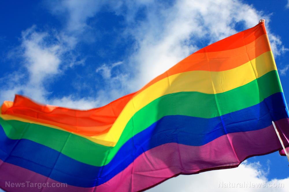 Iowa man sentenced to 16 years in prison for burning an LGBTQ flag – but if you’re an illegal alien who murders a woman in cold blood, you’ll be acquitted!