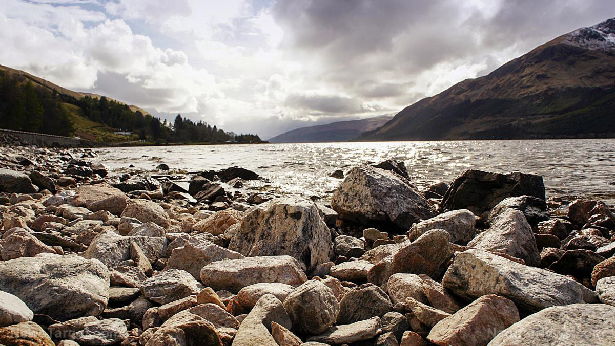 Researchers tease “surprising” DNA results of Loch Ness study