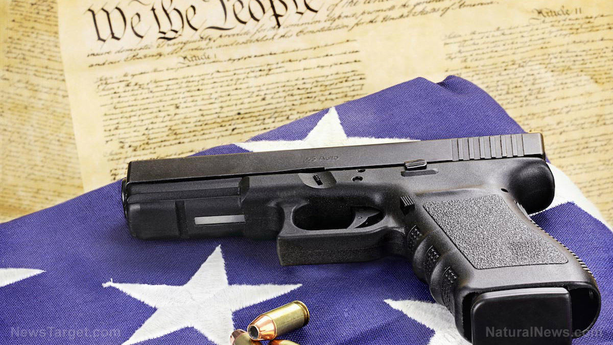Radical left’s 1st item of business: Retire Bill of Rights, starting with the 2nd Amendment