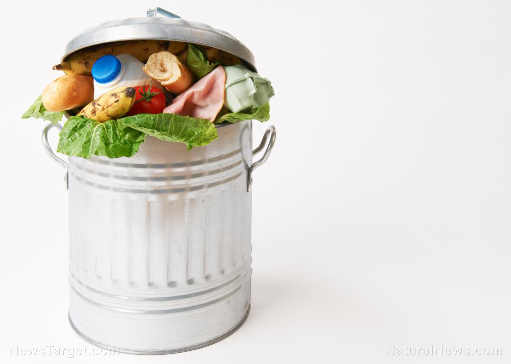 4 Ways to dispose of trash when disaster strikes