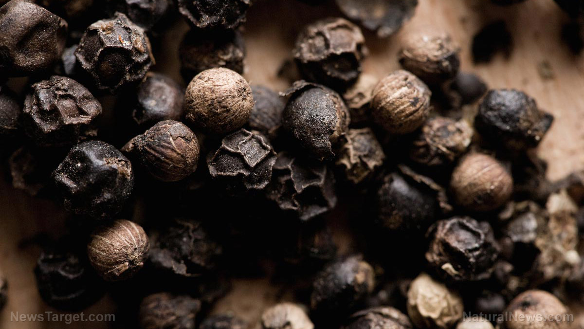 Cubeb Pepper has incredible health benefits and is used in Ayurvedic medicine to treat respiratory illness