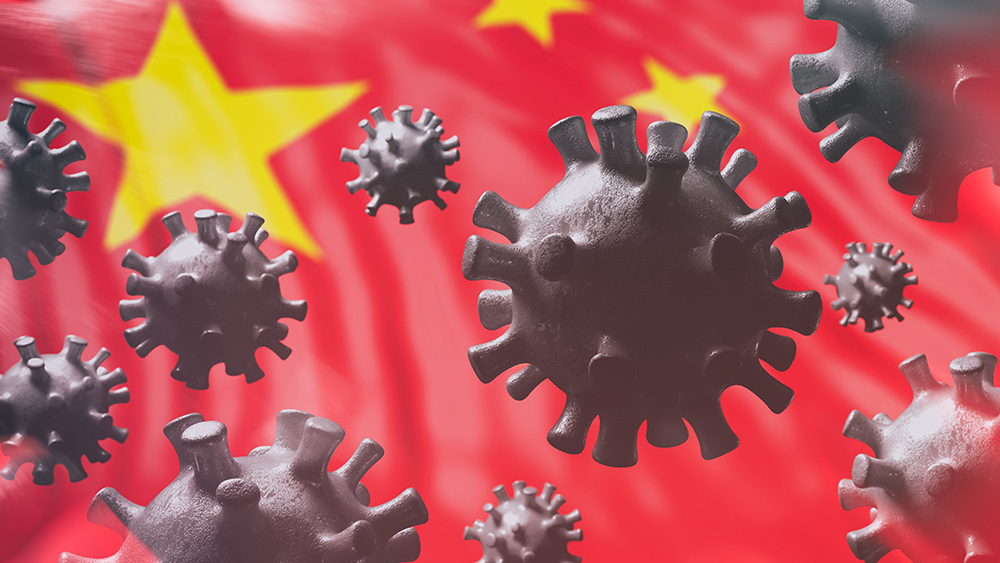 Were coronavirus samples destroyed by China to cover up the outbreak?