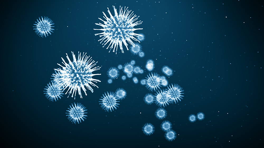 There are now TWO novel coronavirus strains in circulation