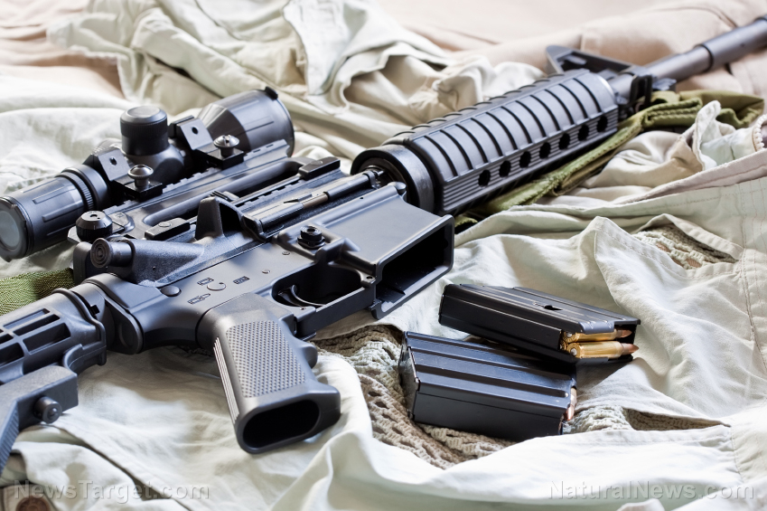 Interested in the ultimate survival weapon? Get an AR-15