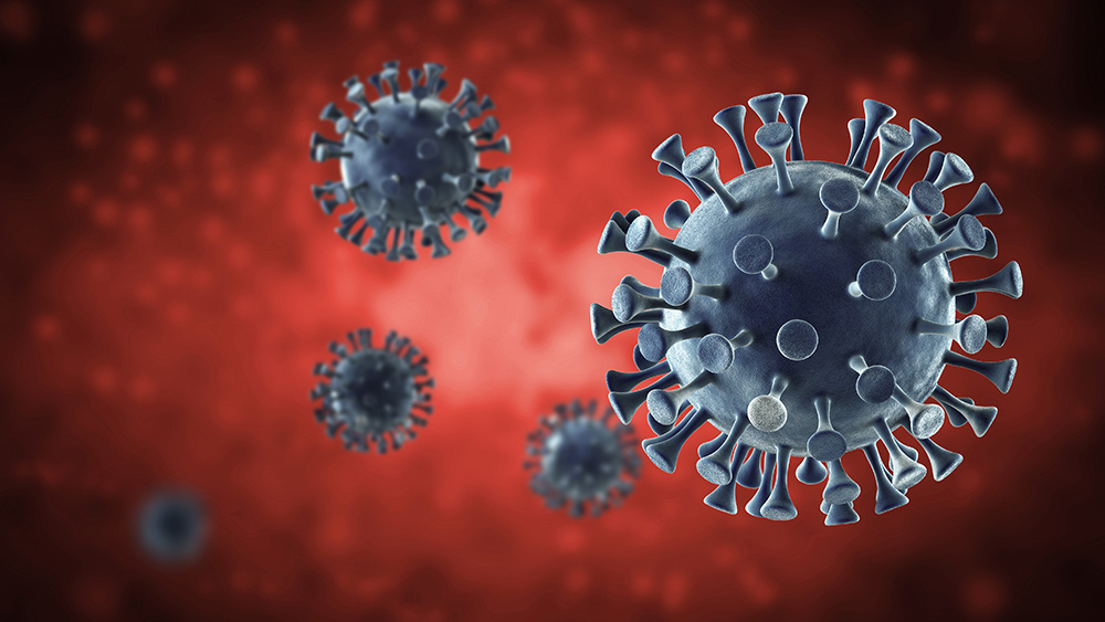 The Dutch are starting to develop antibodies against coronavirus, says new study