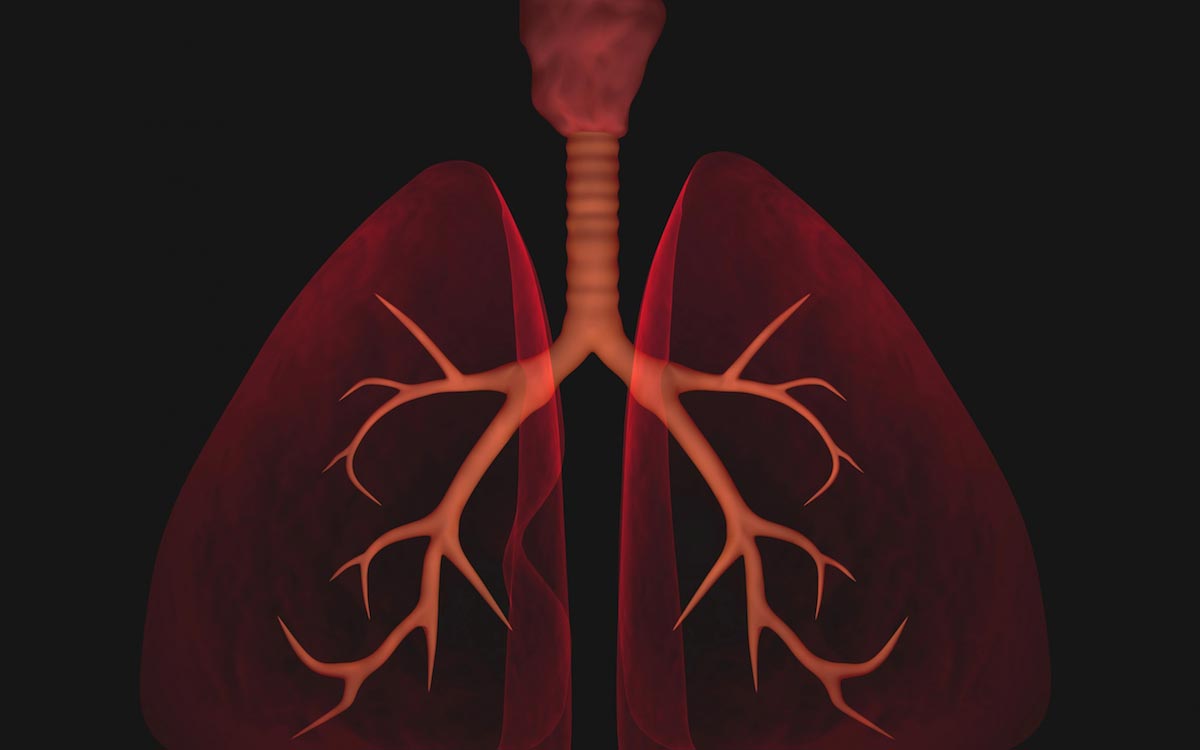 3D virtual reality video shows how rapidly coronavirus destroys the lungs