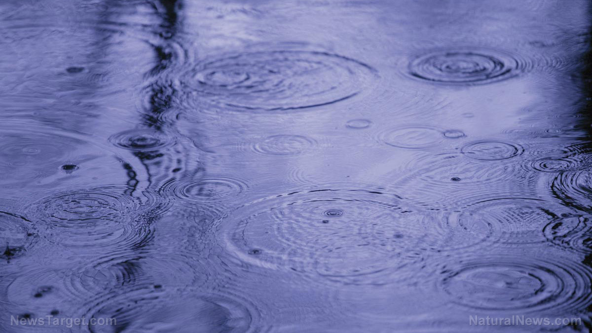 Safety first: Top 8 mistakes to avoid when harvesting rainwater