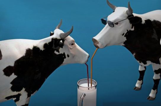 Milk being dumped while shortages of other food and grocery items abound