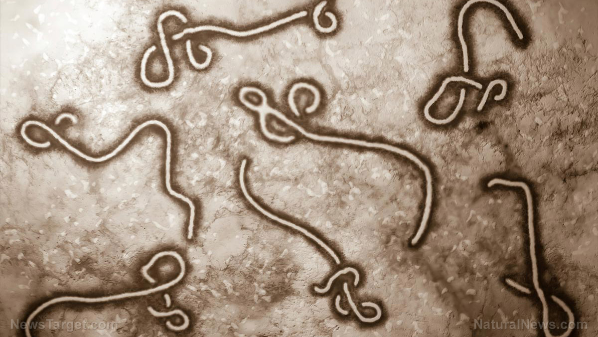 Congo declares new Ebola outbreak, 8 people now infected