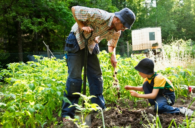 Homesteading 101: Six factors to consider when buying land for your homestead