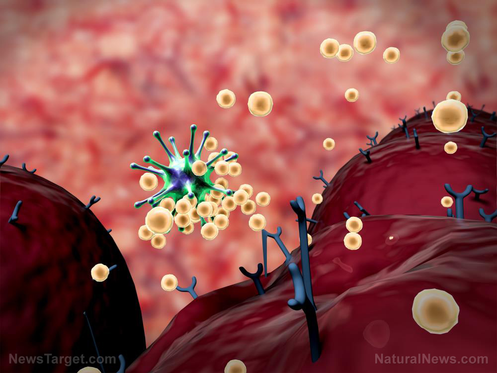 FDA identifies dozens of inaccurate coronavirus antibody tests