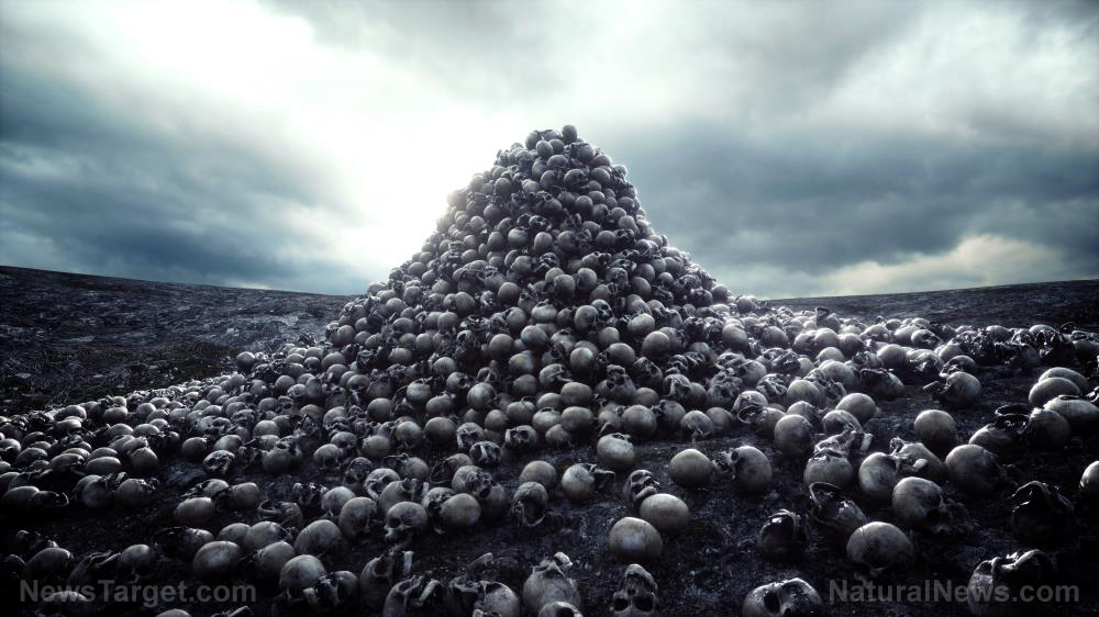 Situation Update, Jan. 4th, 2021 – Election theater is cover for the global extermination agenda