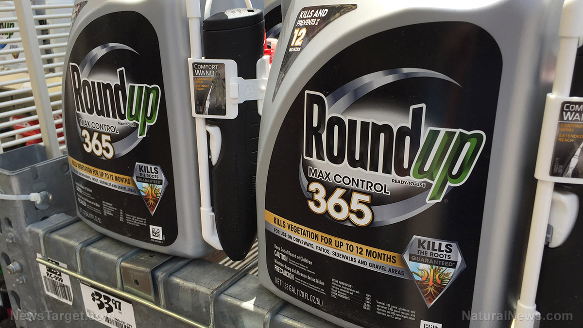 Bayer won’t ask the Supreme Court to reverse Roundup cancer verdict