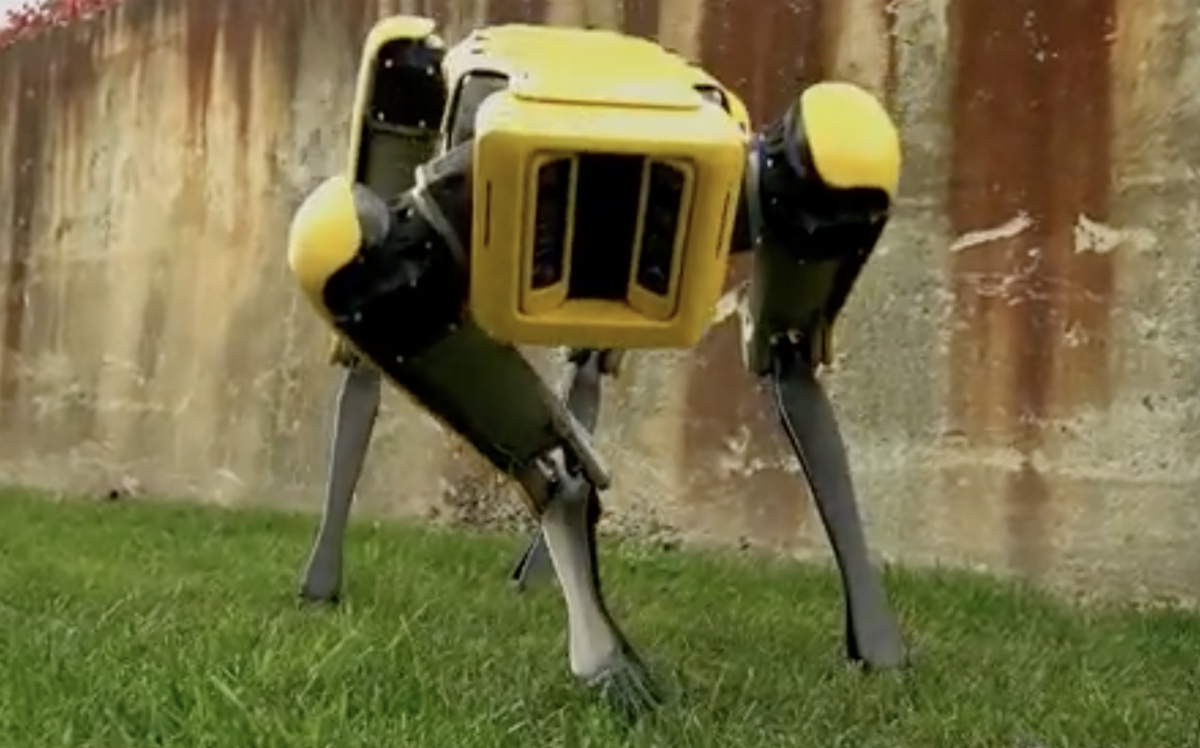 Air Force deploying creepy robot dogs to enhance security at military base in Florida