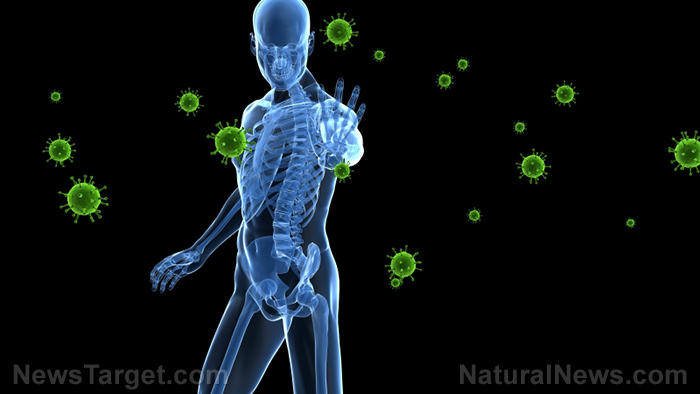 GREAT NEWS: Natural immunity to coronavirus is comprehensive and DURABLE – study
