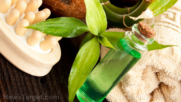 Prepper medicine: How to make and use tea tree oil
