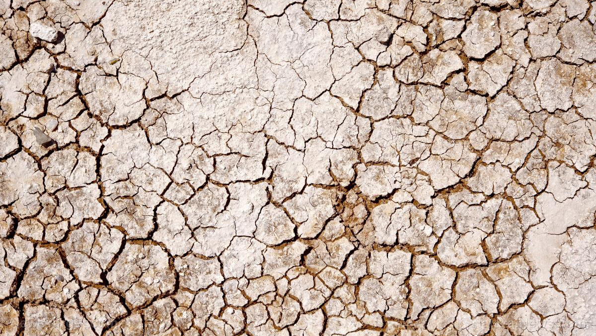 California farms face collapse as unprecedented droughts sizzle crops