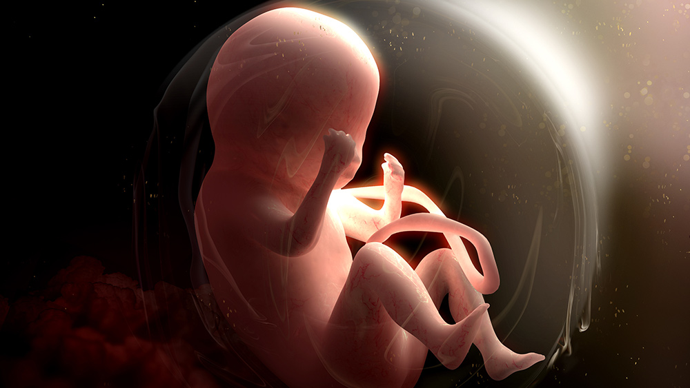 La Universidad de Pittsburgh fue sorprendida extrayendo partes VIVAS del cuerpo de un bebé antes de los abortos;  experimentos de sustracción de órganos financiados por Fauci y los NIH