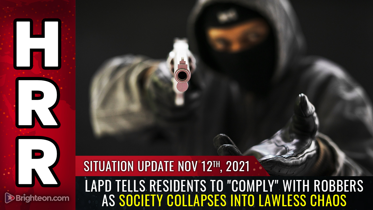 LAWLESS CHAOS: LAPD tells residents to “comply” with robbers as society collapses in blue cities… escape while you still can