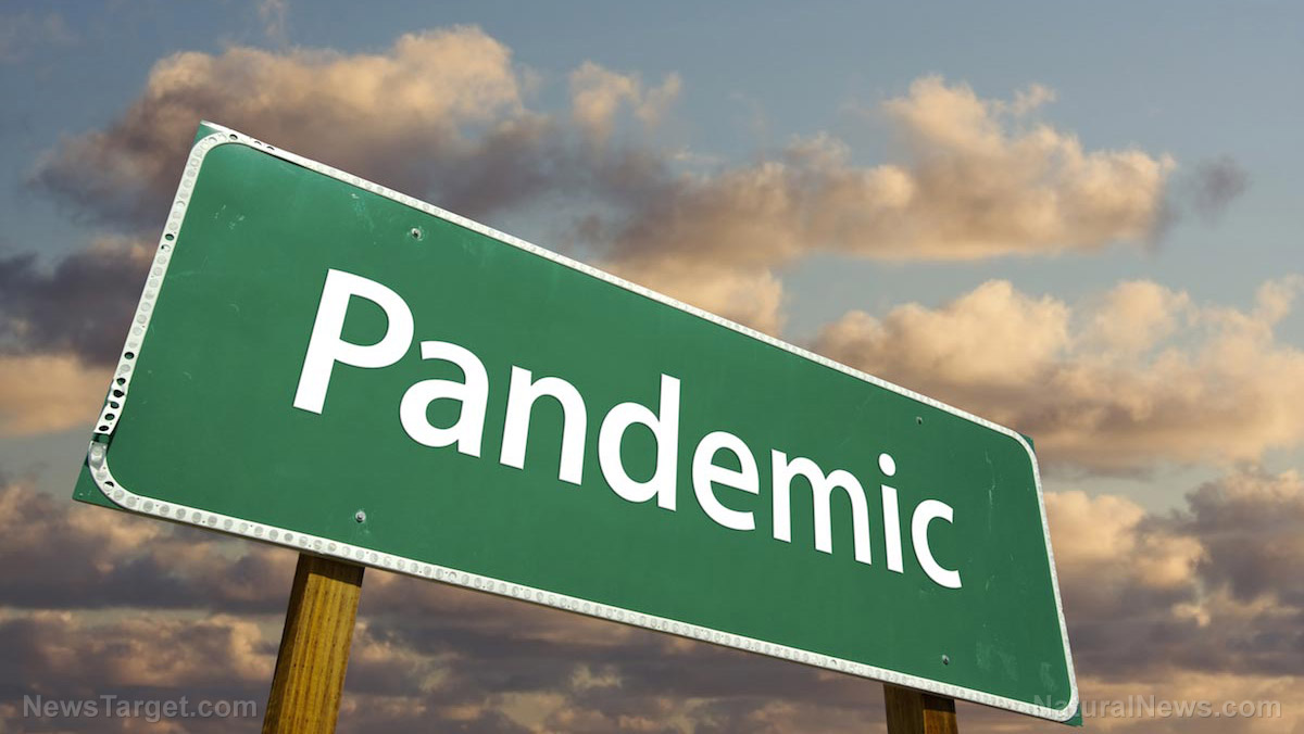 COVID-19 pandemic was PLANNED as part of the Great Reset, warns Catholic priest Fr. Frank Unterhalt