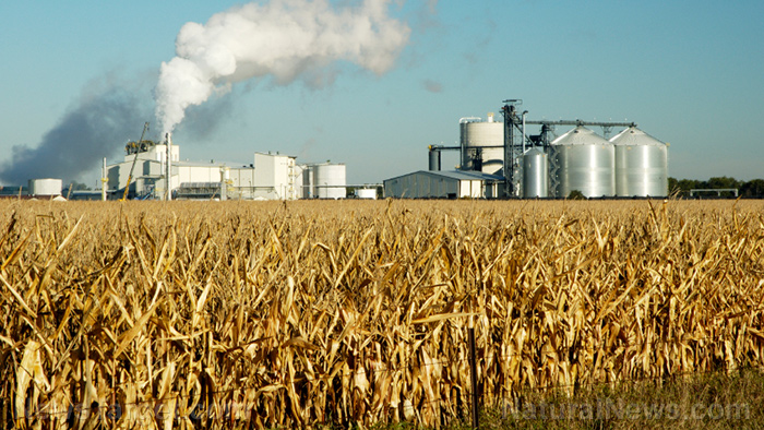 https://www.newstarget.com/wp-content/uploads/sites/43/2022/02/Corn-Field-Factory-Processing-Plant.jpg