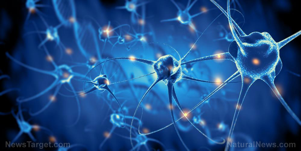 The Dr. Hotze Report: Biotech company out to control people’s minds through neuromodulation – Brighteon.TV