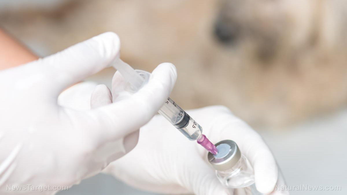 ZOOTARDS ON PARADE: Toronto Zoo absurdly claims its animals are VOLUNTARILY getting injected with the COVID vaccine