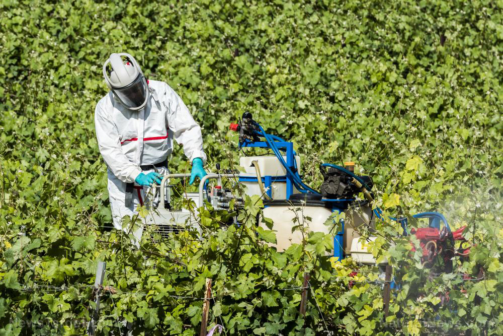 Researchers warn about the ecological disaster headed for humanity because of our overuse of pesticides