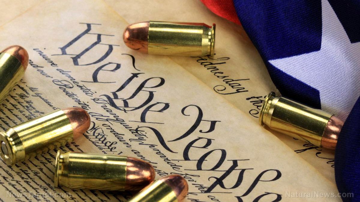 Virginia county passes militia resolution to prepare for potential gun control wave